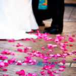 Marriage License & Ceremony Package
