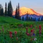 Washington Best Places To Elope