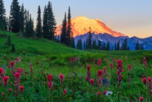 washington elopement