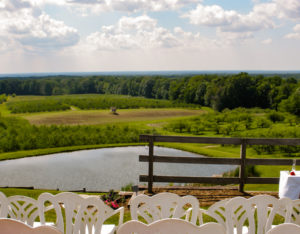 elope in ohio