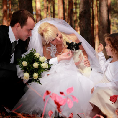 Engaged Couples Embracing MicroWeddings