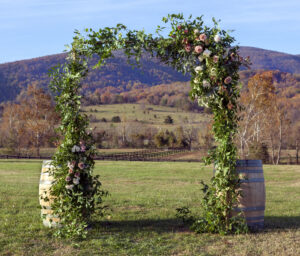 Blue Ridge Mountains Elopements