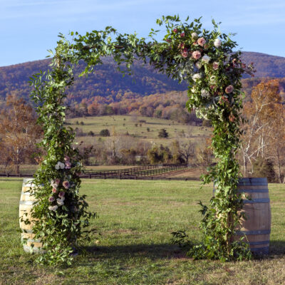 Blue Ridge Mountains Elopement Planning